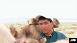 Người chăn nuôi gia súc ở Gobi bên những con lạc đà
