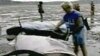 Ngư phủ Việt Nam mai táng con cá voi nặng 7 tấn